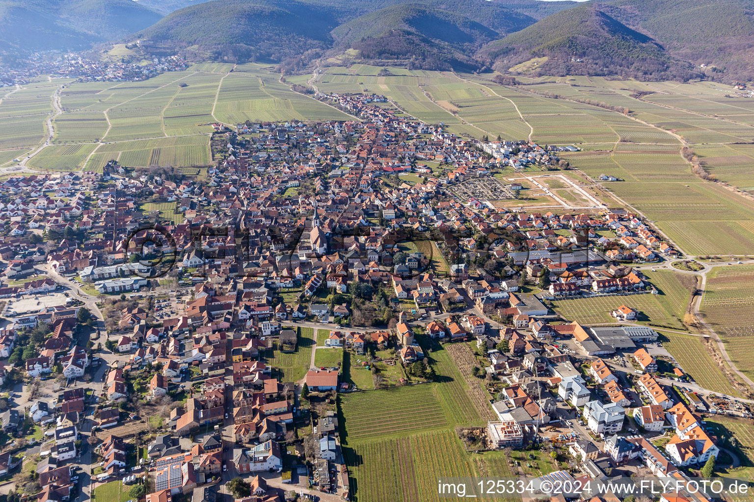 Maikammer dans le département Rhénanie-Palatinat, Allemagne du point de vue du drone