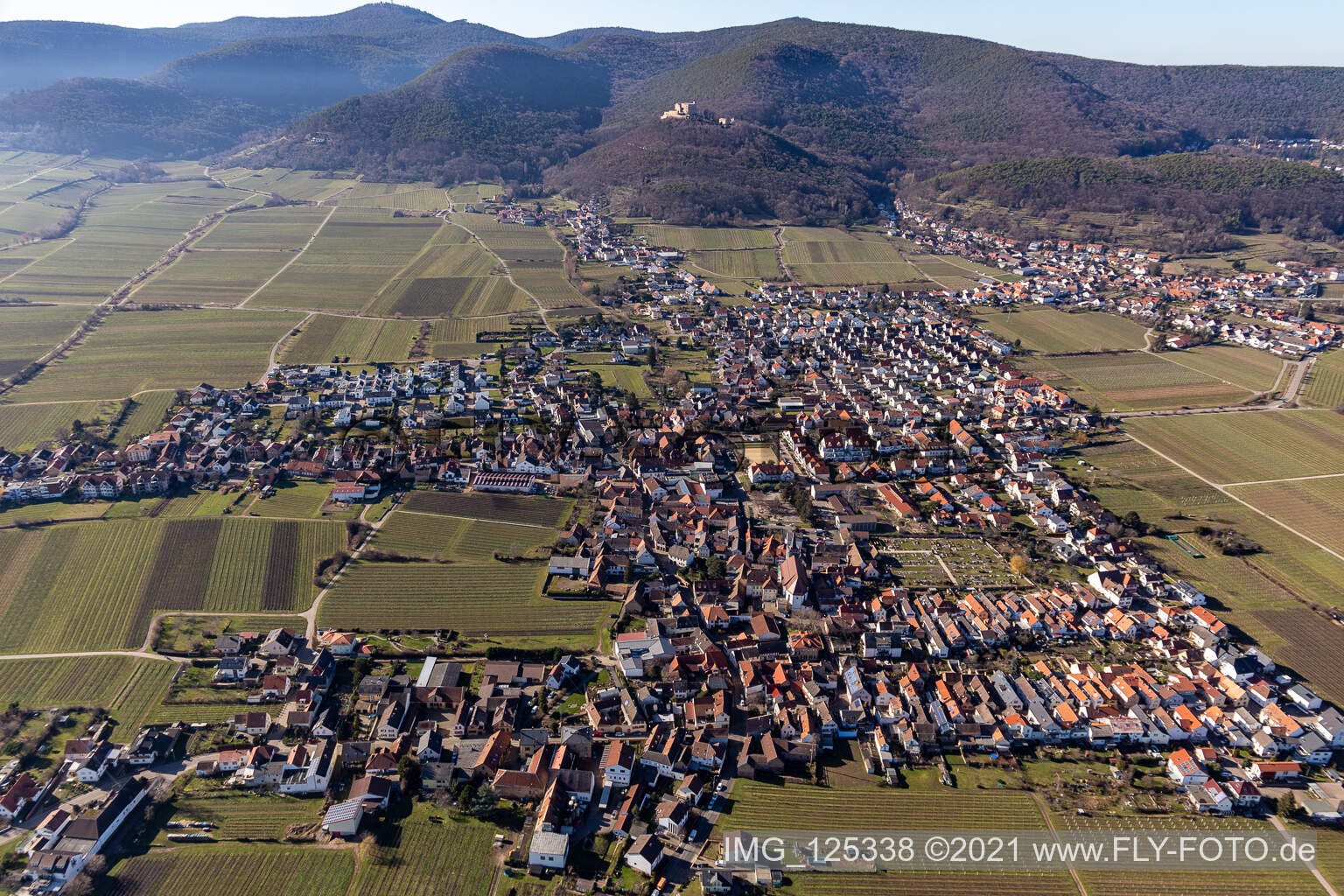 Vue d'oiseau de Quartier Diedesfeld in Neustadt an der Weinstraße dans le département Rhénanie-Palatinat, Allemagne