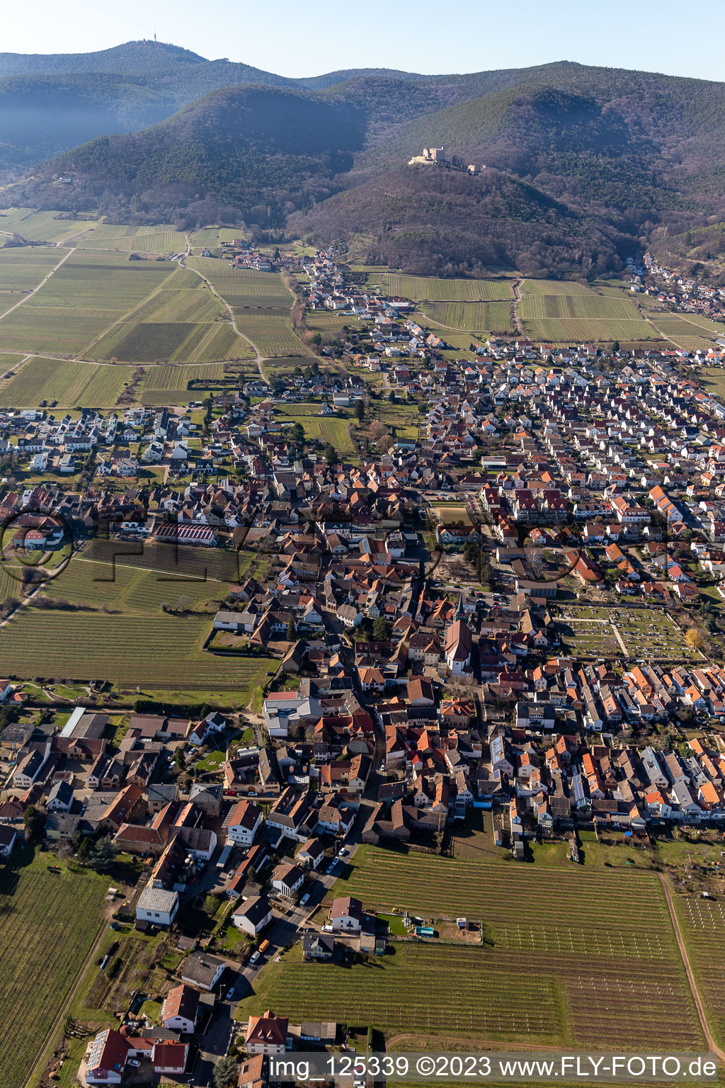 Quartier Diedesfeld in Neustadt an der Weinstraße dans le département Rhénanie-Palatinat, Allemagne vue du ciel