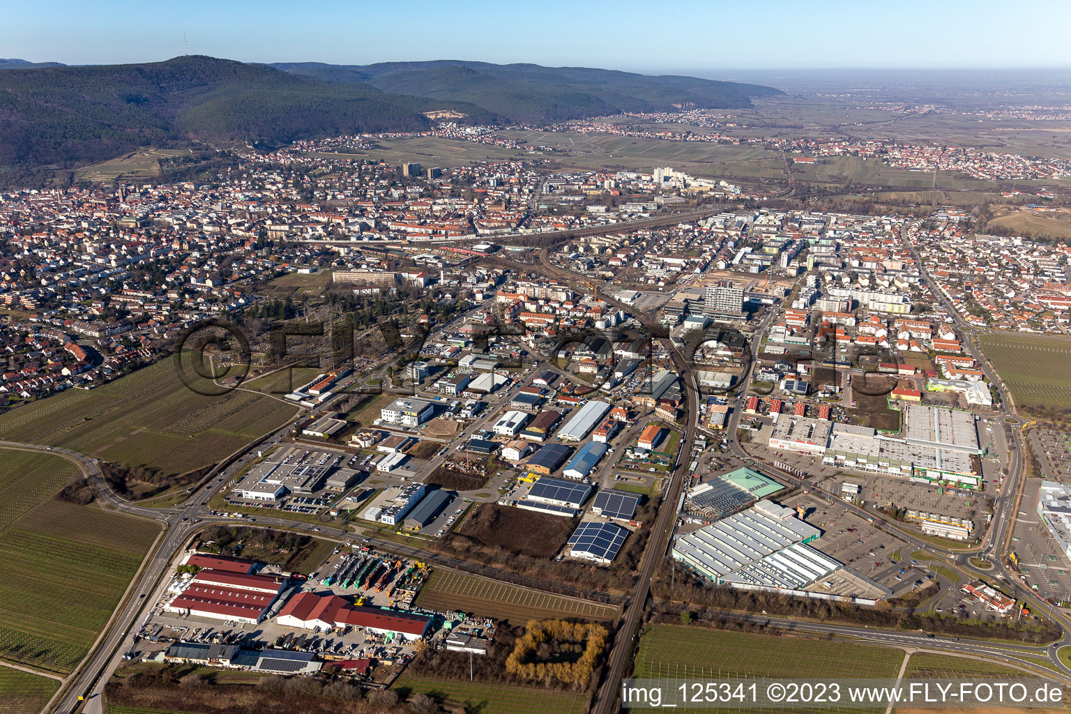 Neustadt an der Weinstraße dans le département Rhénanie-Palatinat, Allemagne d'un drone