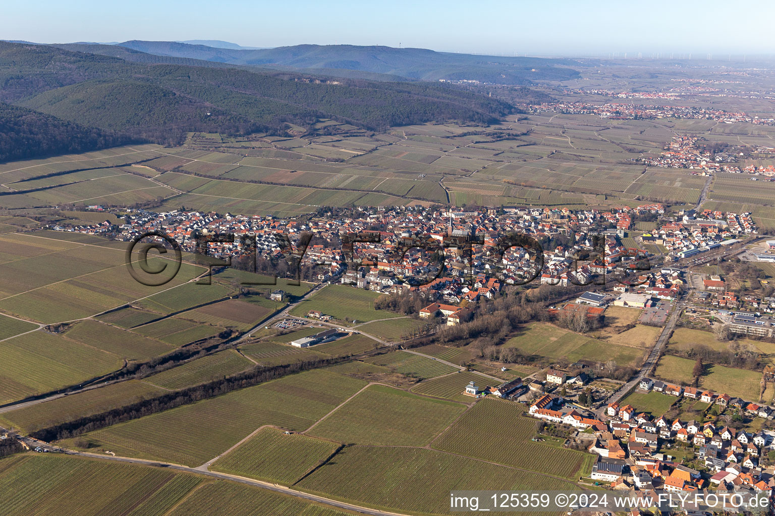 Enregistrement par drone de Deidesheim dans le département Rhénanie-Palatinat, Allemagne