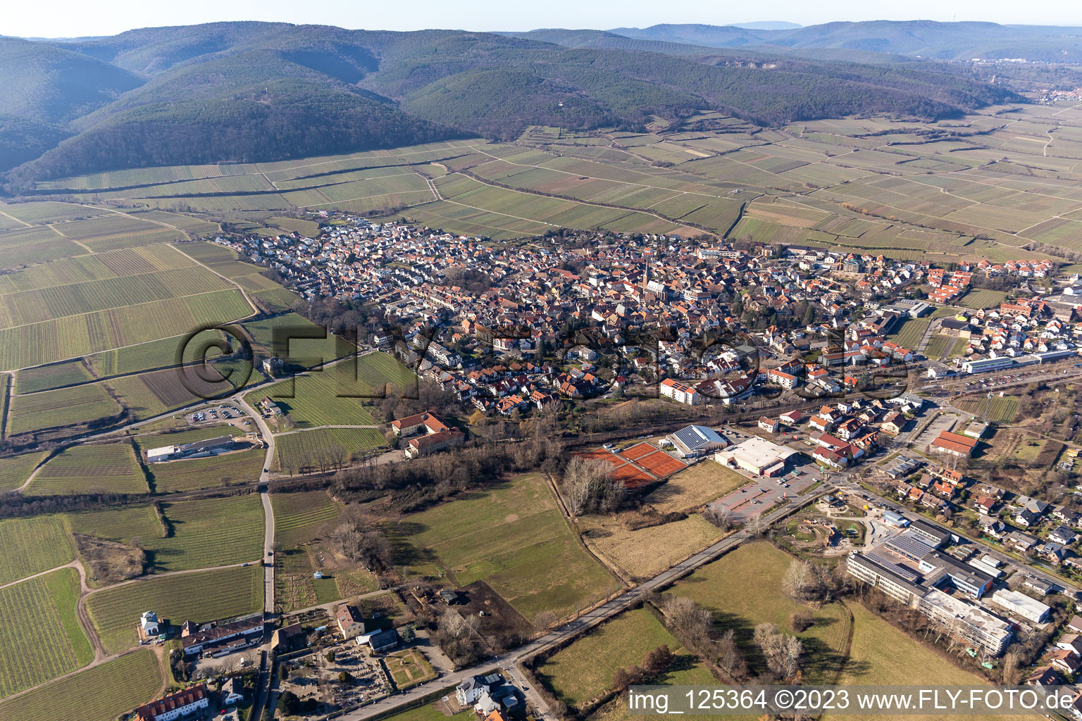 Ruppertsberg dans le département Rhénanie-Palatinat, Allemagne du point de vue du drone