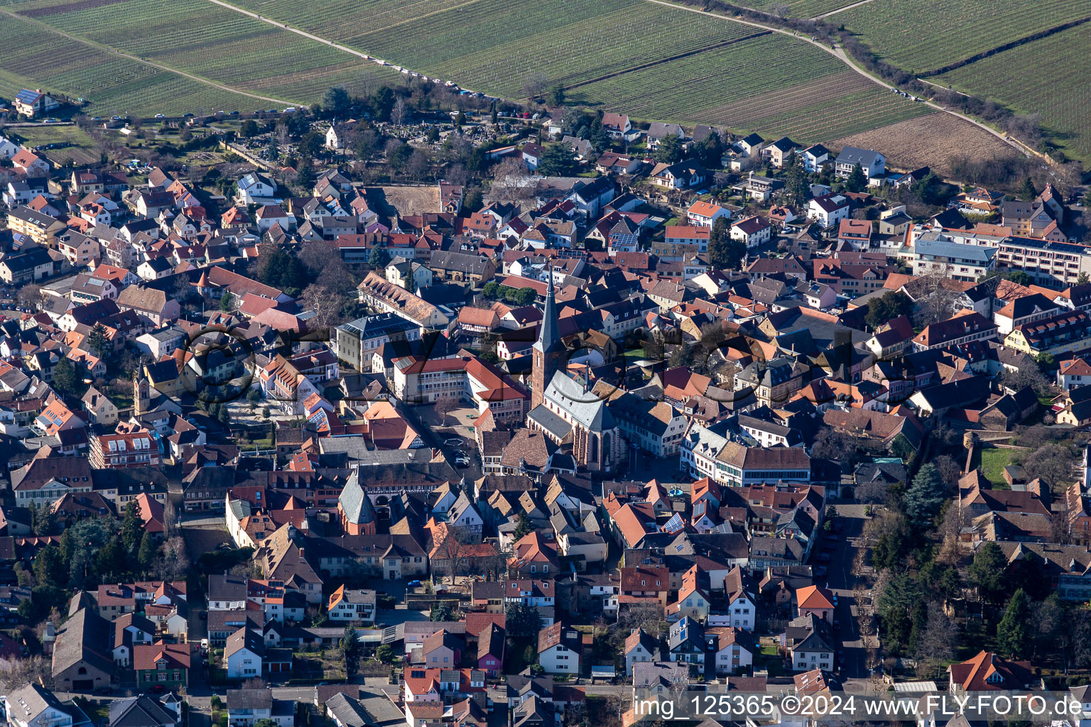 Vue aérienne de Église paroissiale Saint-Ulrich à Deidesheim dans le département Rhénanie-Palatinat, Allemagne