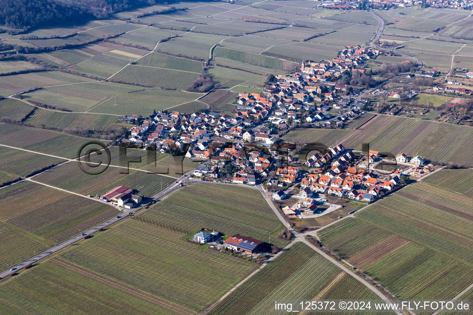 Photographie aérienne de Vignobles à le quartier Forst in Forst an der Weinstraße dans le département Rhénanie-Palatinat, Allemagne