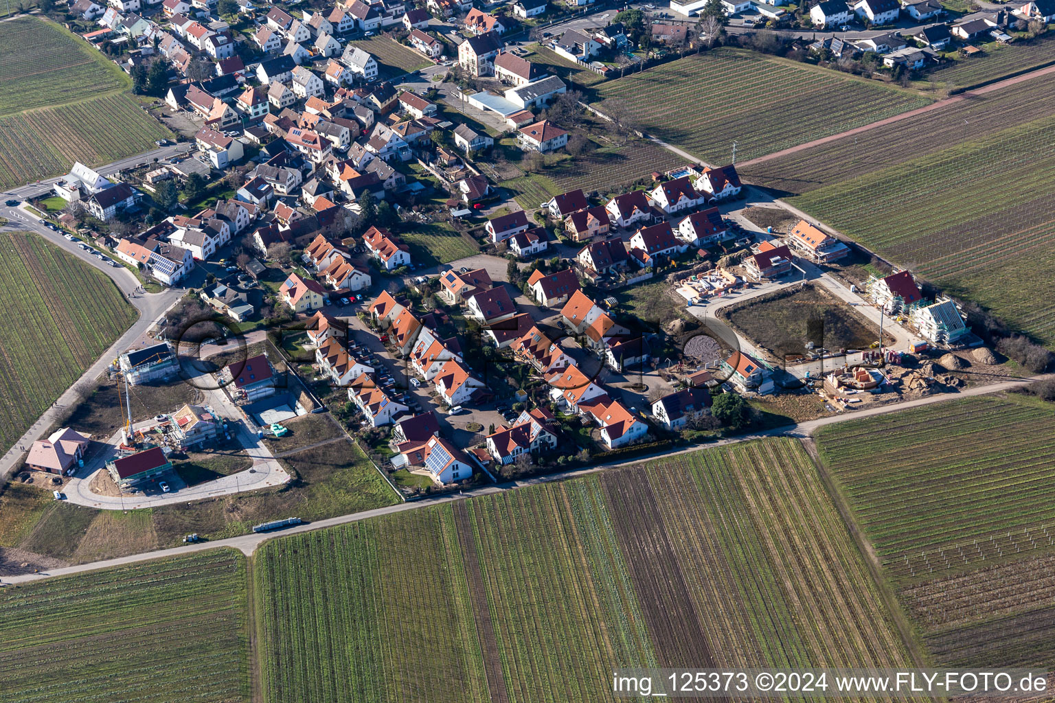 Vue aérienne de Rieslingweg, Traminerweg, Silvanerweg à le quartier Forst in Forst an der Weinstraße dans le département Rhénanie-Palatinat, Allemagne