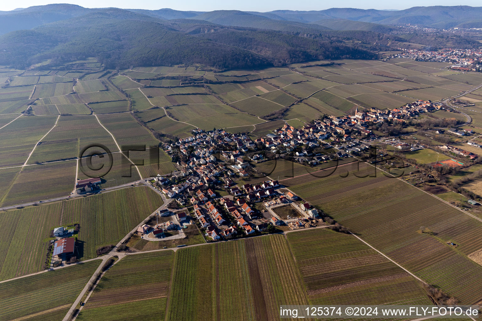 Vue aérienne de Quartier Forst in Forst an der Weinstraße dans le département Rhénanie-Palatinat, Allemagne