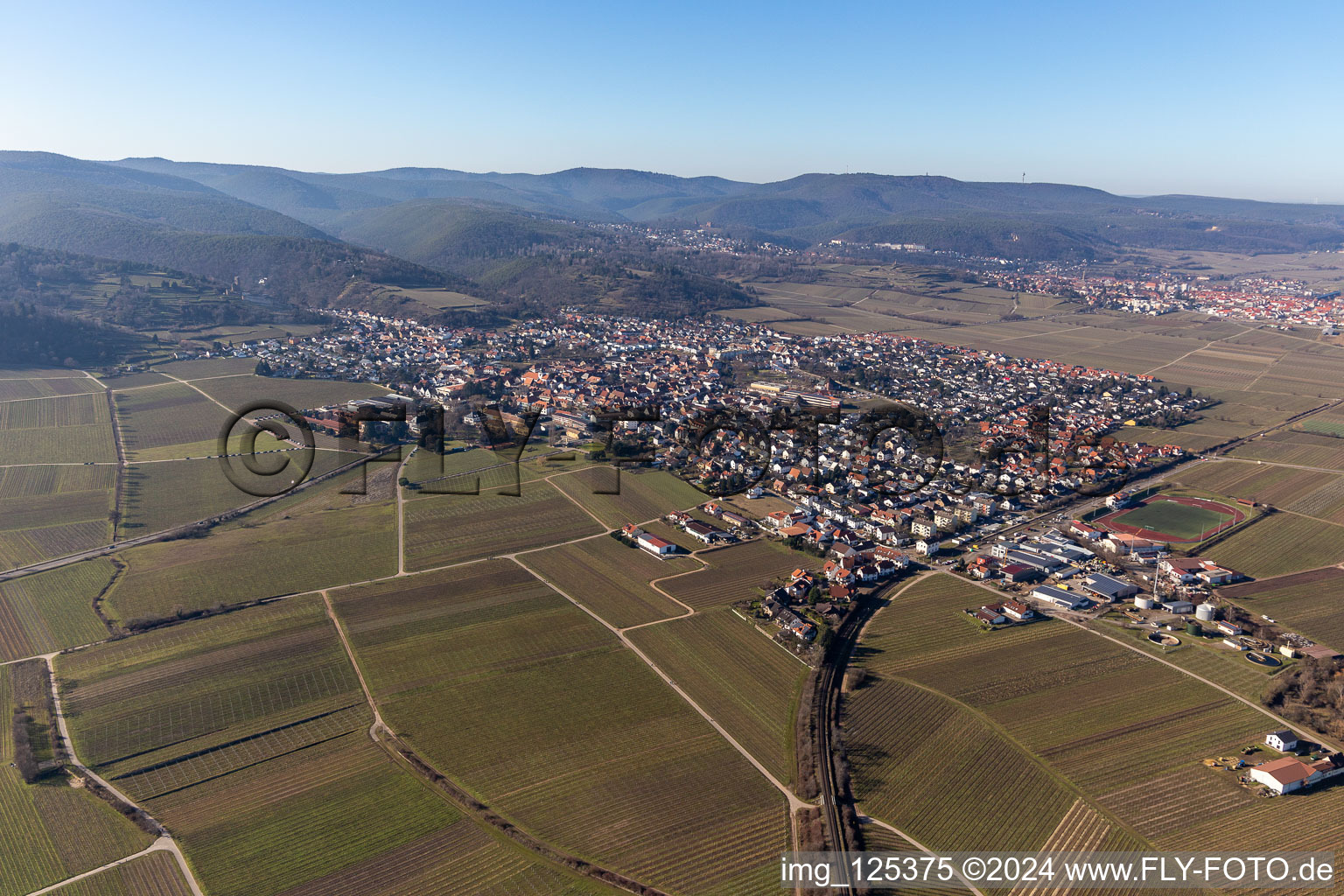 Vue aérienne de Quartier Wachenheim in Wachenheim an der Weinstraße dans le département Rhénanie-Palatinat, Allemagne