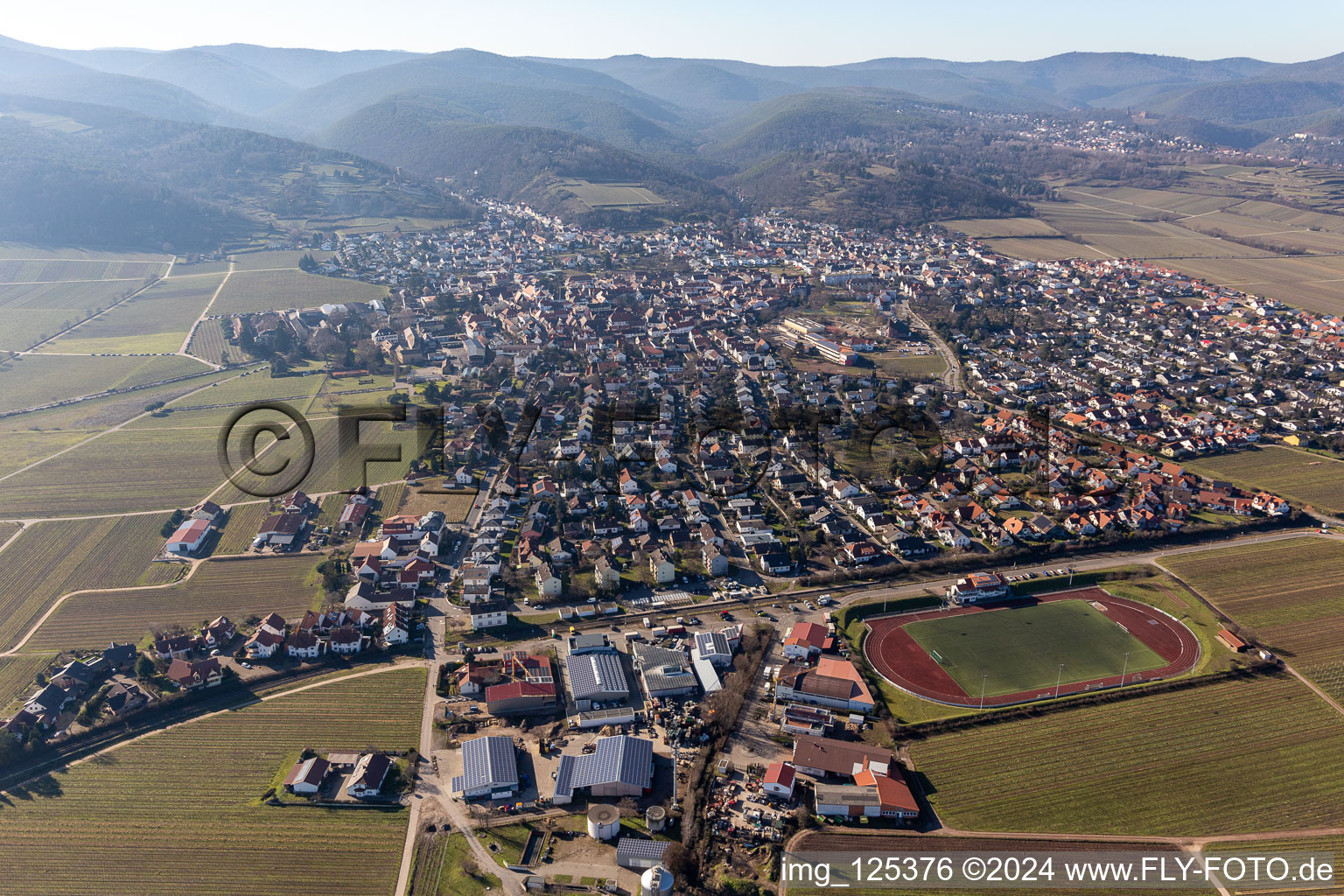 Photographie aérienne de Quartier Wachenheim in Wachenheim an der Weinstraße dans le département Rhénanie-Palatinat, Allemagne