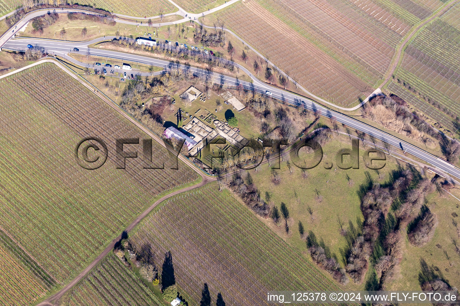 Vue aérienne de Quartier Wachenheim in Wachenheim an der Weinstraße dans le département Rhénanie-Palatinat, Allemagne