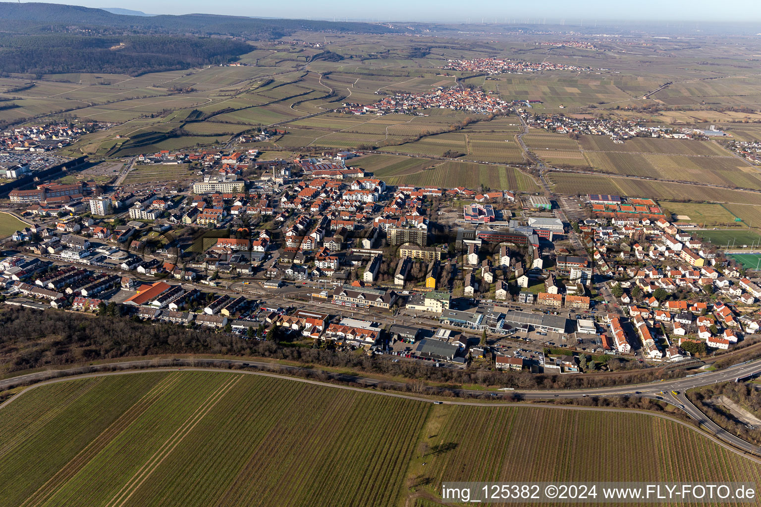 Vue aérienne de Rue de Mannheim à le quartier Pfeffingen in Bad Dürkheim dans le département Rhénanie-Palatinat, Allemagne