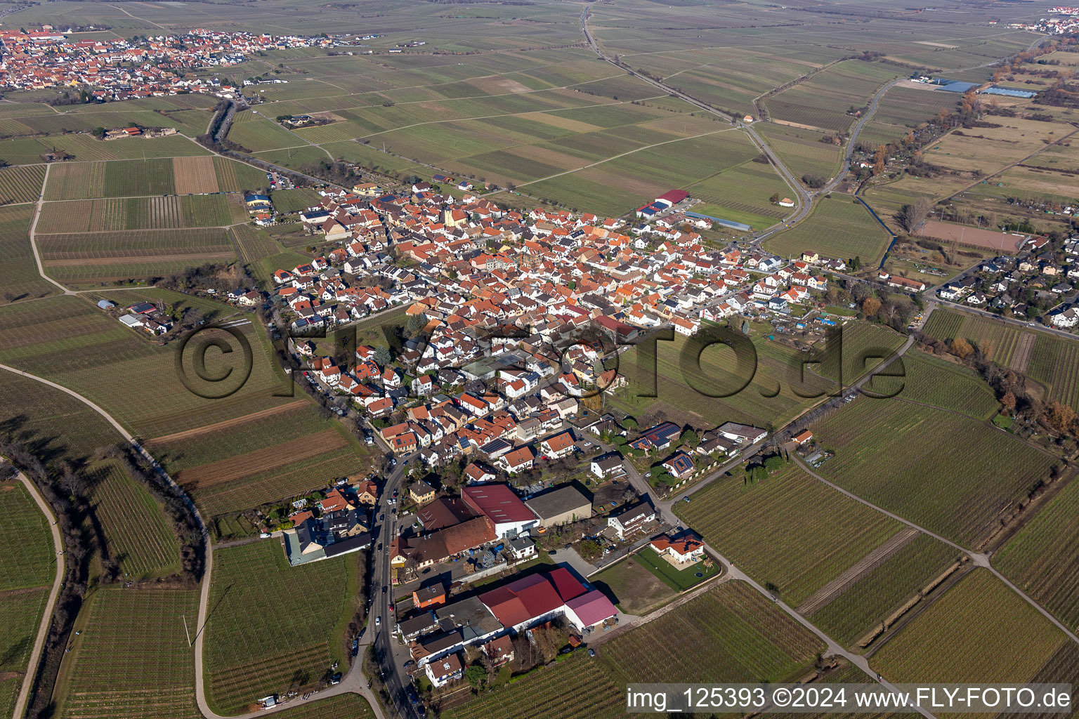 Vue aérienne de Bordures de vignes et domaines viticoles du vignoble en Ungstein à le quartier Ungstein in Bad Dürkheim dans le département Rhénanie-Palatinat, Allemagne