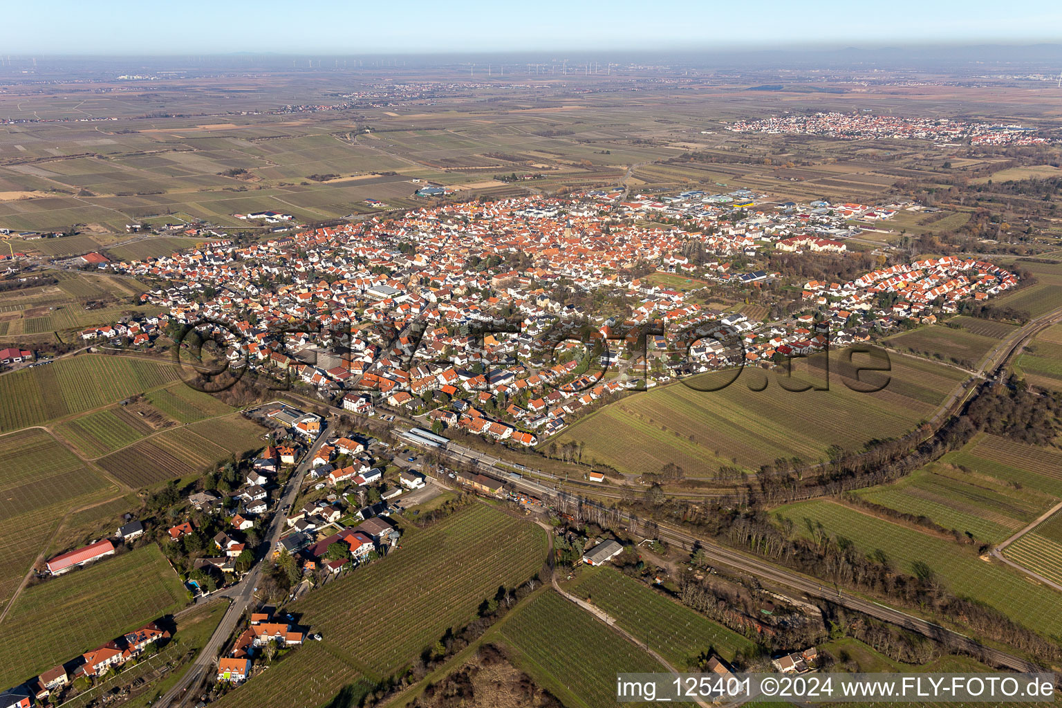 Vue aérienne de Au milieu des vignes à Freinsheim dans le département Rhénanie-Palatinat, Allemagne