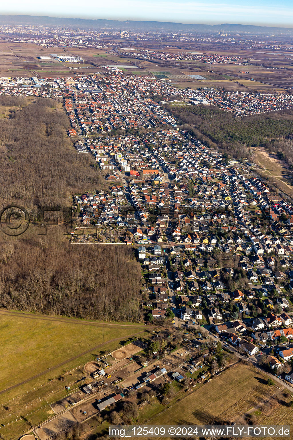 Vue aérienne de Zone urbaine avec périphérie et centre-ville à Maxdorf à Birkenheide dans le département Rhénanie-Palatinat, Allemagne