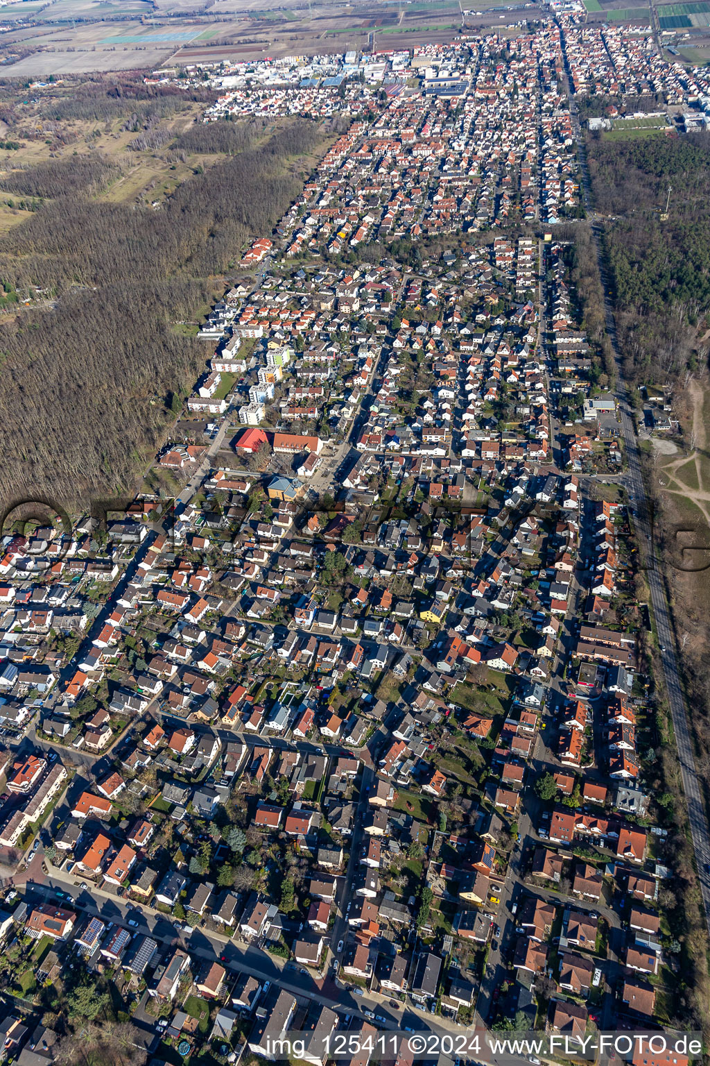 Vue aérienne de Birkenheide dans le département Rhénanie-Palatinat, Allemagne