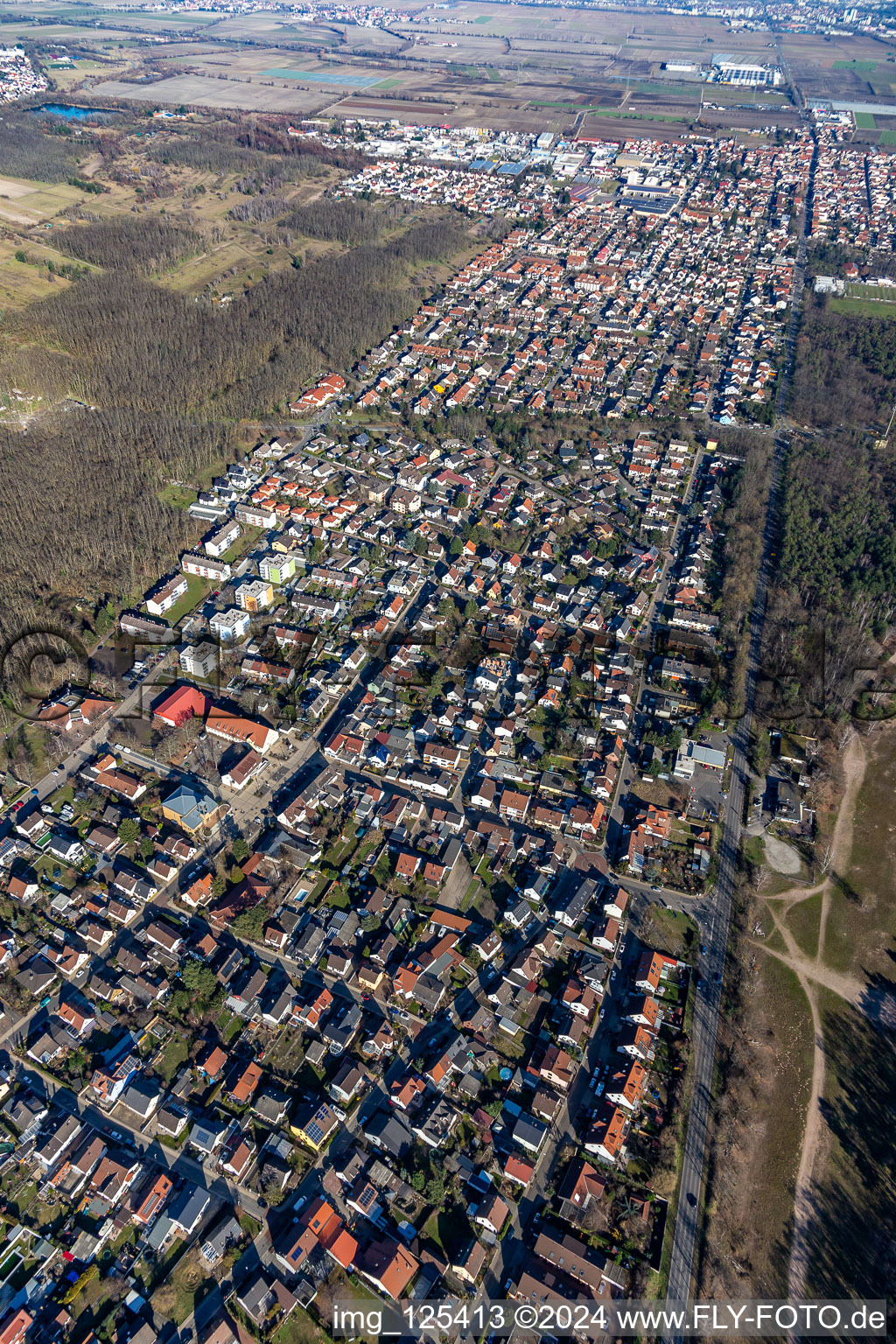 Vue aérienne de Birkenheide dans le département Rhénanie-Palatinat, Allemagne