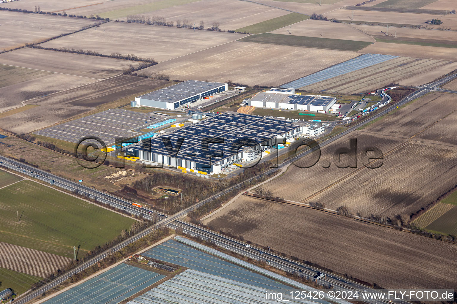 Vue aérienne de Complexe immobilier et terrain du centre logistique d'Amazon Logistik Frankenthal GmbH à le quartier Eppstein in Frankenthal dans le département Rhénanie-Palatinat, Allemagne