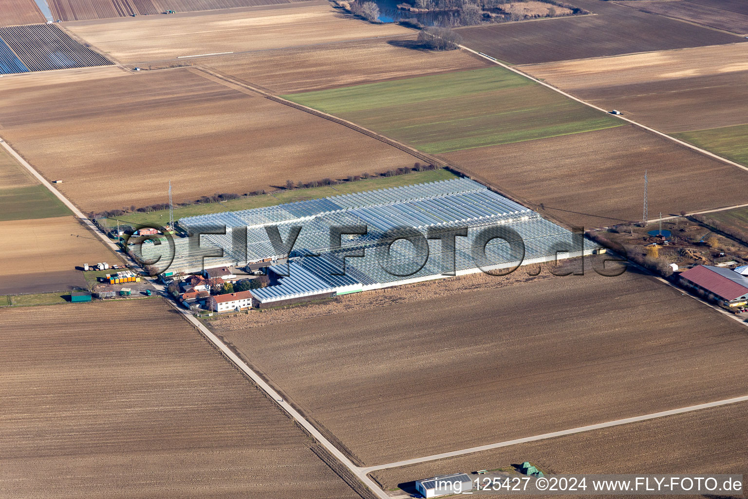 Vue aérienne de Surfaces de verrière dans les rangées de serres pour la culture de légumes chez Gerhardt GmbH en Ruchheim à le quartier Ruchheim in Ludwigshafen am Rhein dans le département Rhénanie-Palatinat, Allemagne