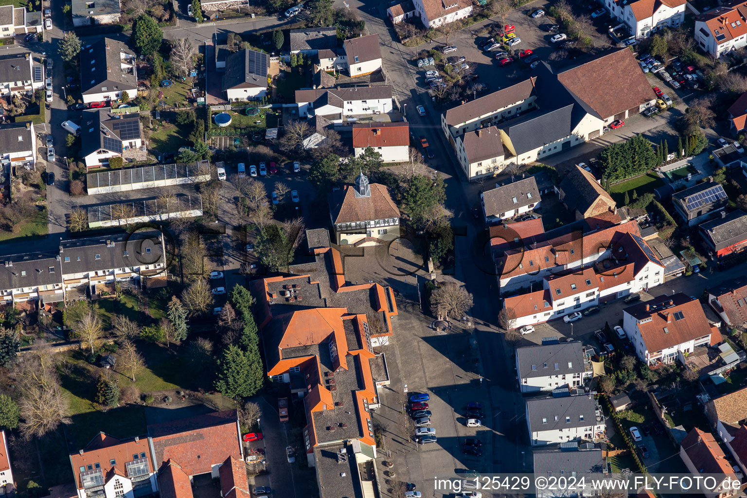 Vue aérienne de Château des Barons de Hallberg à le quartier Ruchheim in Ludwigshafen am Rhein dans le département Rhénanie-Palatinat, Allemagne