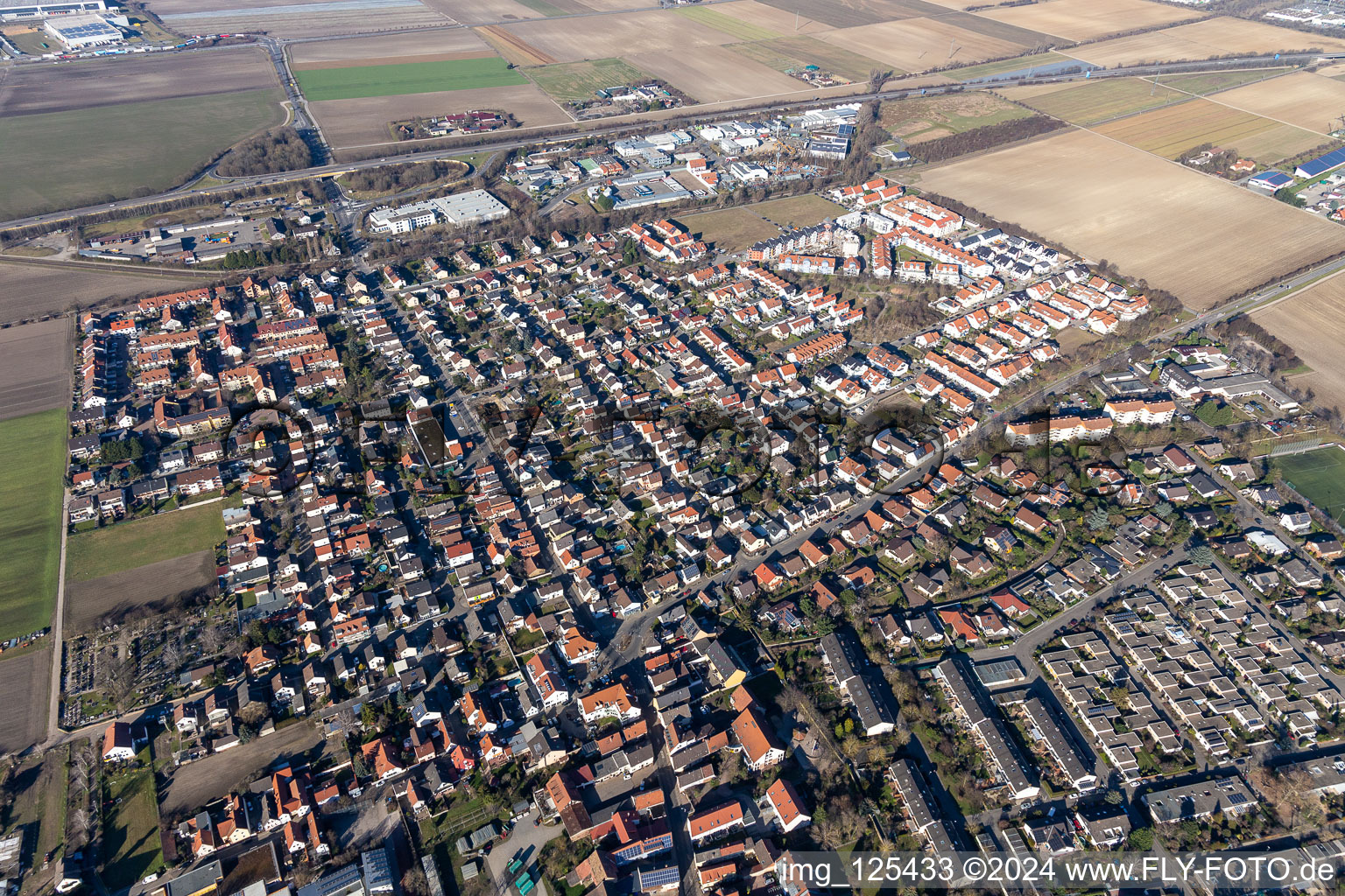 Vue aérienne de Rue Oggersheimer à le quartier Ruchheim in Ludwigshafen am Rhein dans le département Rhénanie-Palatinat, Allemagne