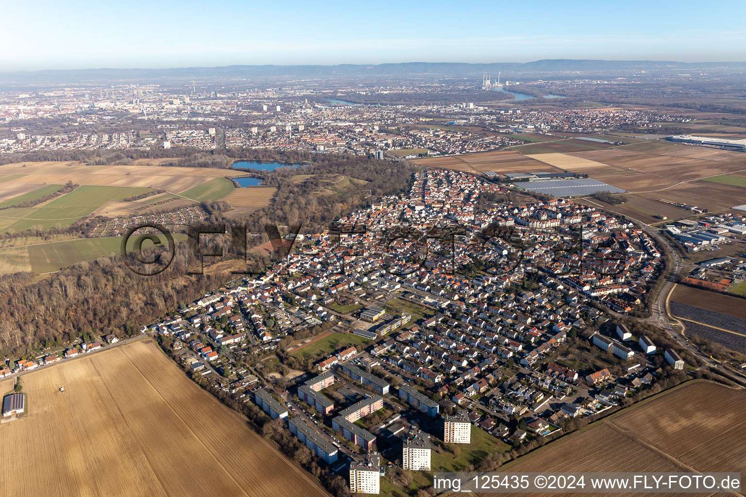 Vue aérienne de Vue des rues et des maisons des quartiers résidentiels à le quartier Maudach in Ludwigshafen am Rhein dans le département Rhénanie-Palatinat, Allemagne