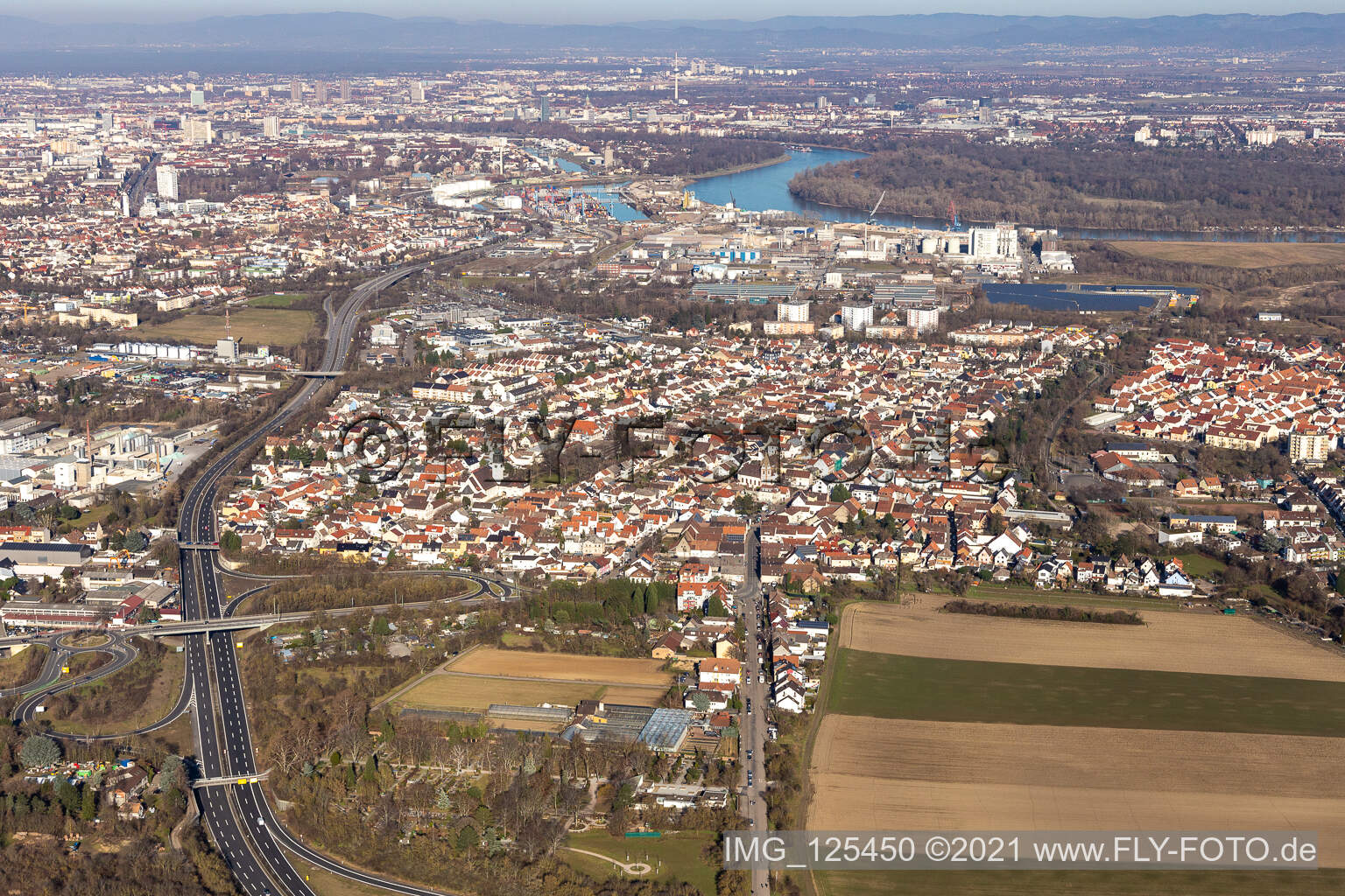 Vue aérienne de Vue des rues et des maisons des quartiers résidentiels à le quartier Rheingönheim in Ludwigshafen am Rhein dans le département Rhénanie-Palatinat, Allemagne