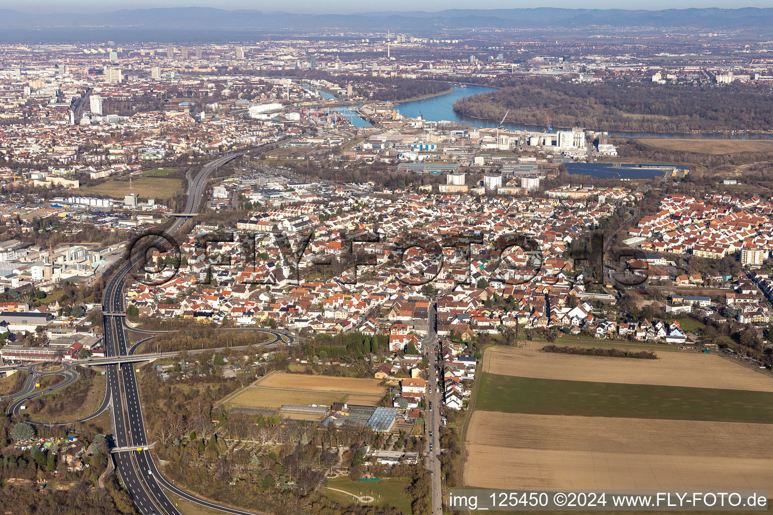 Vue aérienne de Vue des rues et des maisons des quartiers résidentiels à le quartier Rheingönheim in Ludwigshafen am Rhein dans le département Rhénanie-Palatinat, Allemagne