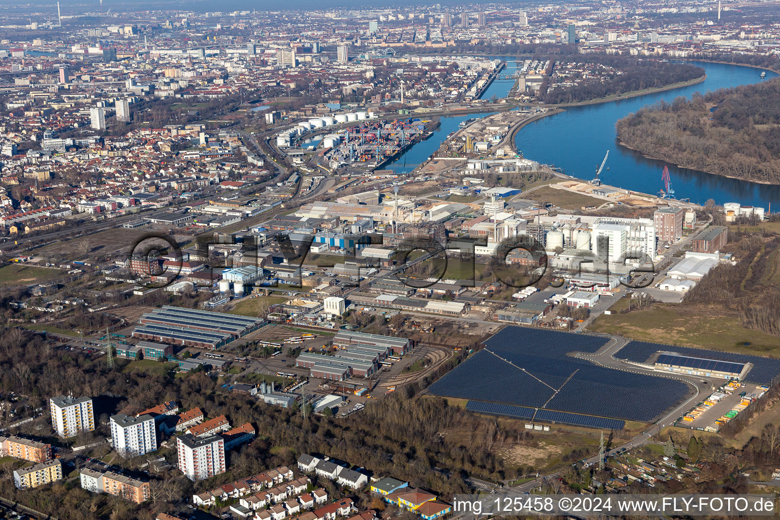 Vue aérienne de Zone industrielle et commerciale à le quartier Rheingönheim in Ludwigshafen am Rhein dans le département Rhénanie-Palatinat, Allemagne