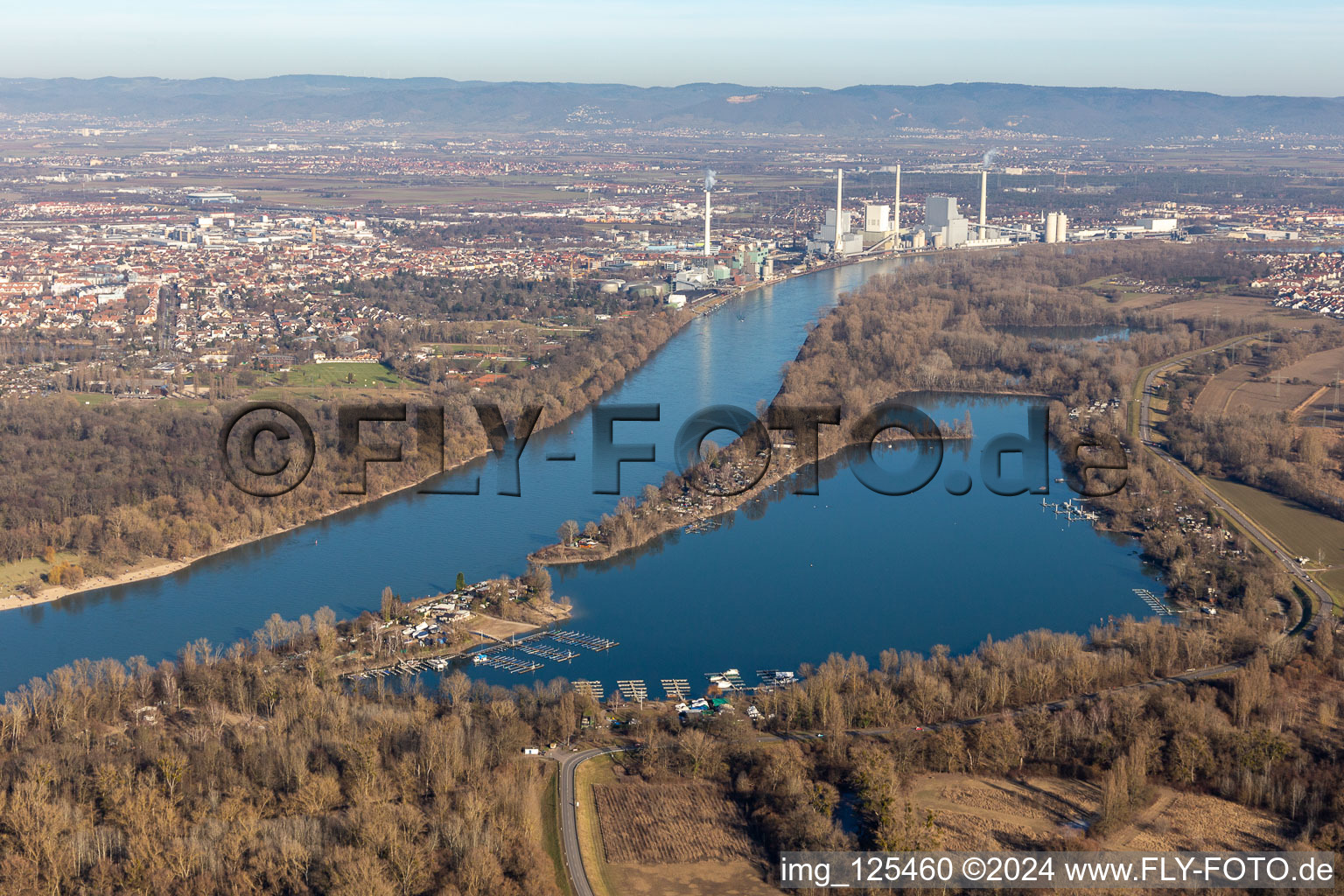 Vue aérienne de Étang de pins à le quartier Rheingönheim in Ludwigshafen am Rhein dans le département Rhénanie-Palatinat, Allemagne