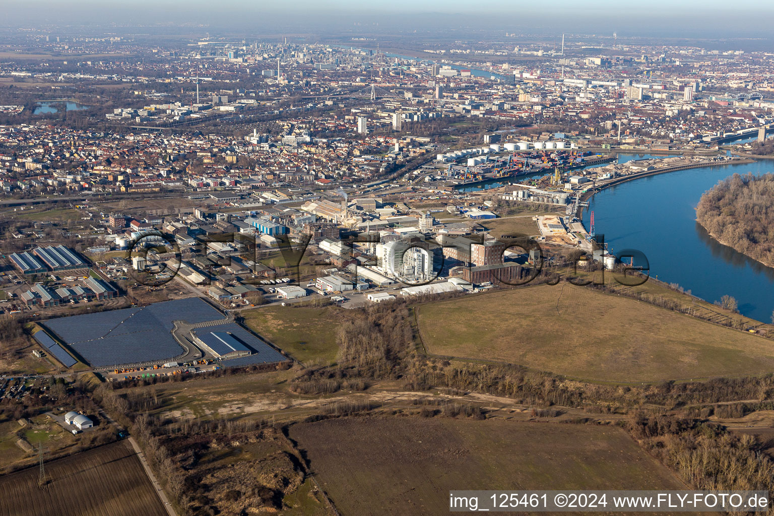 Vue oblique de Zone industrielle et commerciale à le quartier Rheingönheim in Ludwigshafen am Rhein dans le département Rhénanie-Palatinat, Allemagne