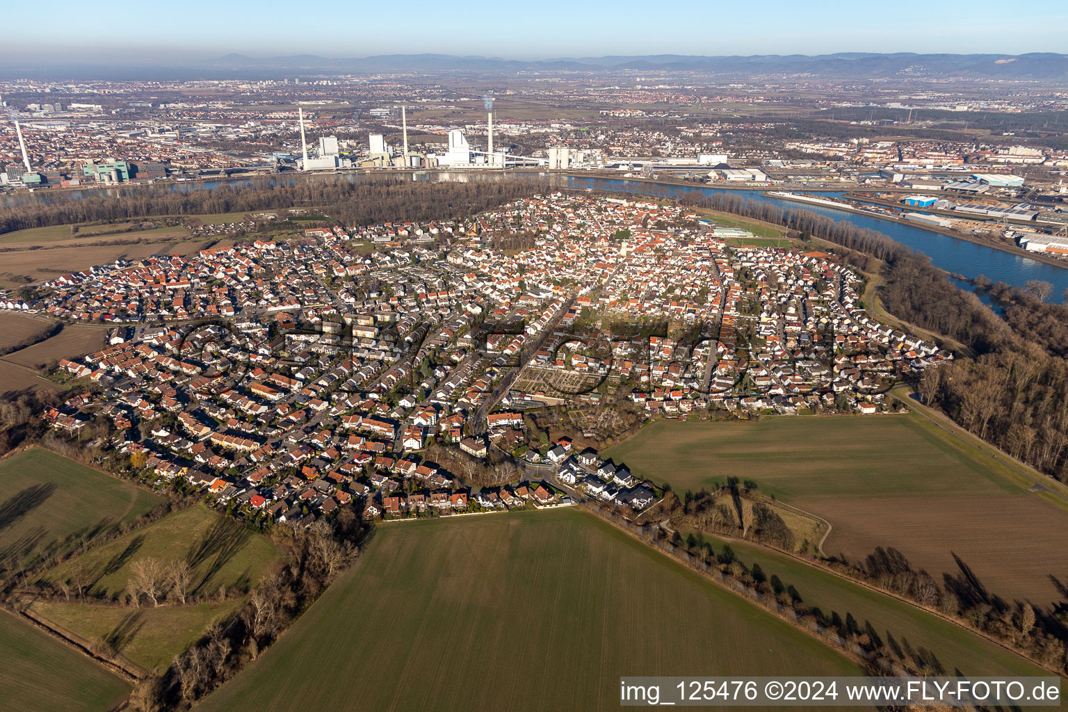 Vue des rues et des maisons des quartiers résidentiels à Altrip dans le département Rhénanie-Palatinat, Allemagne d'en haut