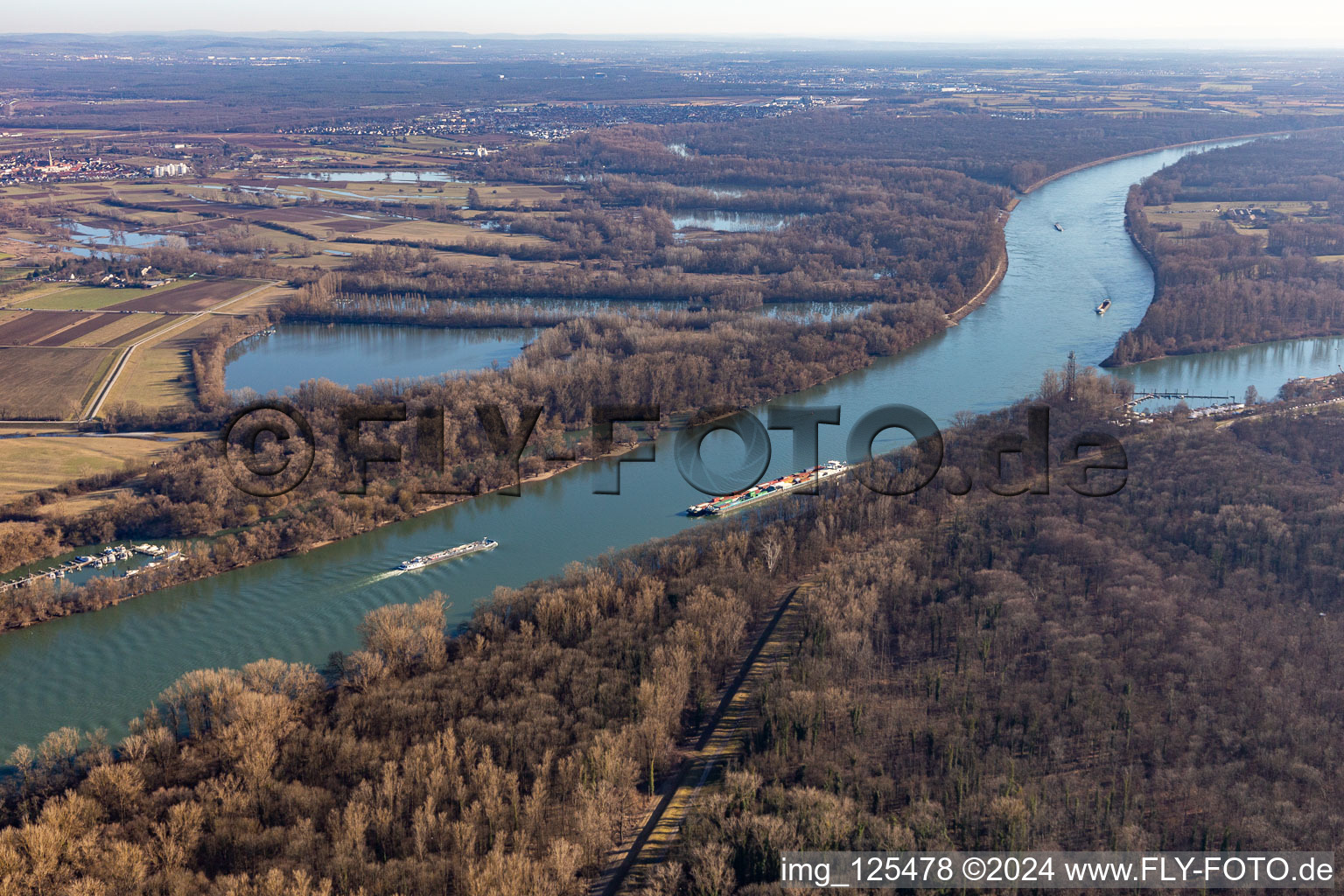 Vue aérienne de Forêt alluviale du Rohrhofer See à le quartier Rheinau in Mannheim dans le département Bade-Wurtemberg, Allemagne