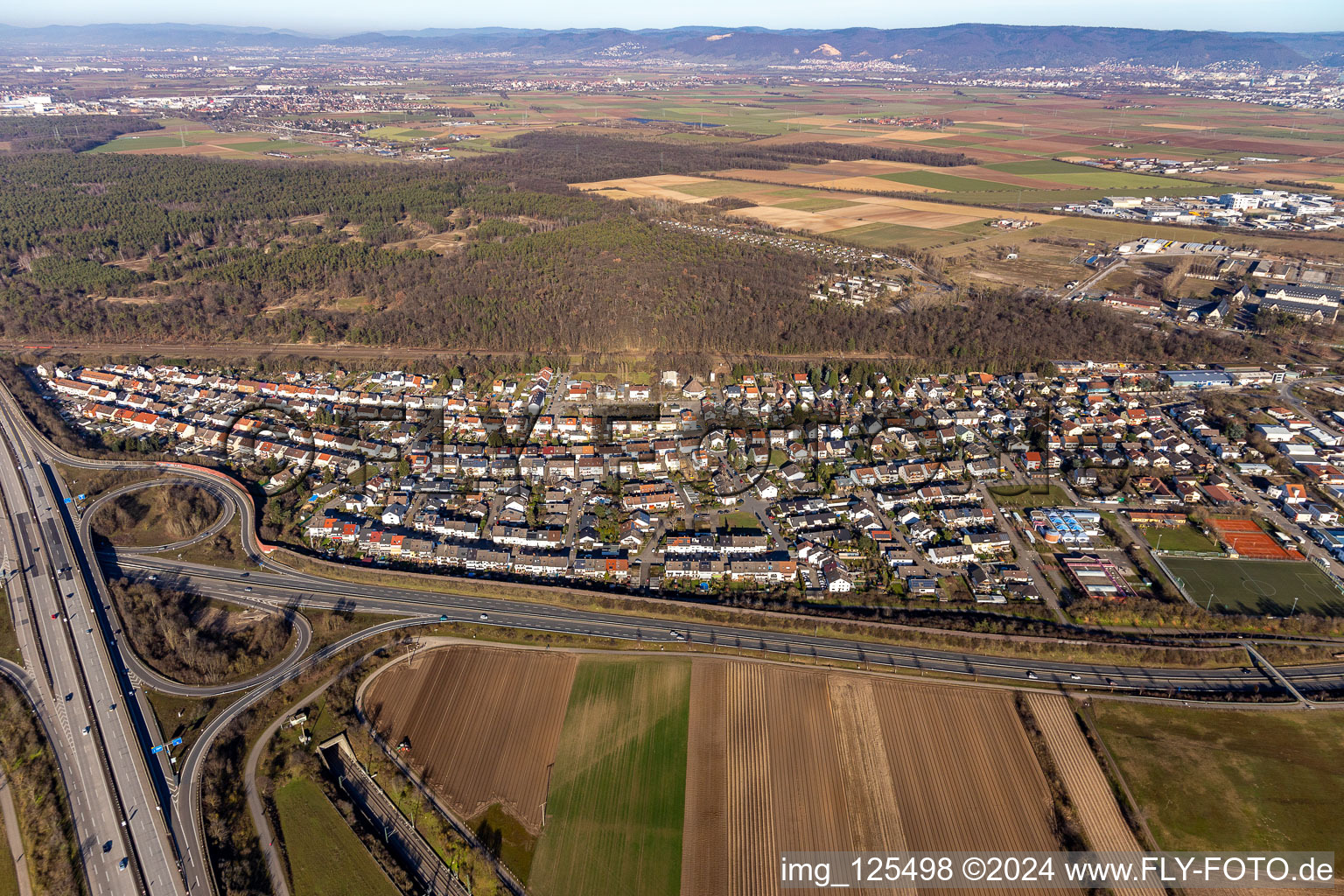 Vue aérienne de Hirschacker à Schwetzingen dans le département Bade-Wurtemberg, Allemagne