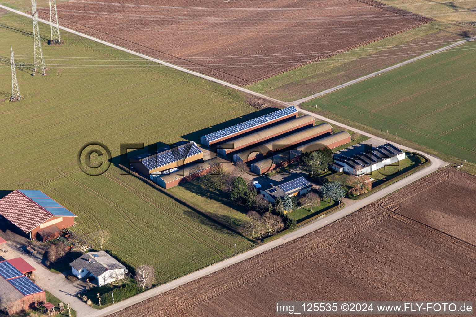 Vue aérienne de Aussiedlerhof Alsheimer Weg à Plankstadt dans le département Bade-Wurtemberg, Allemagne