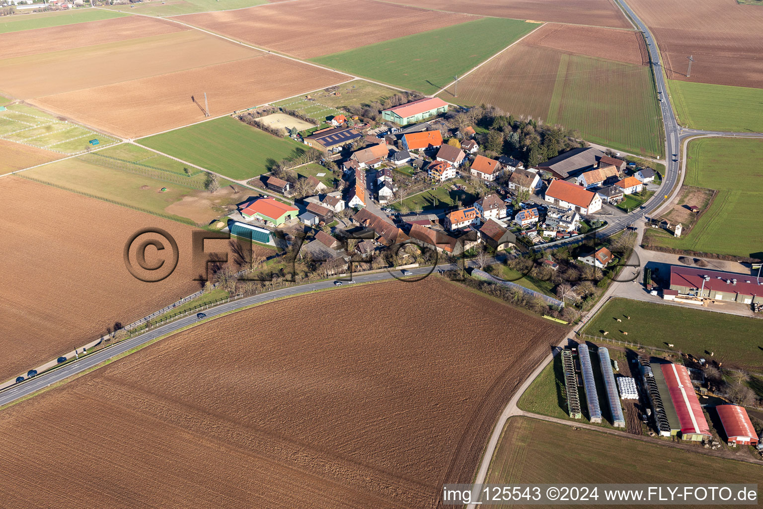 Vue aérienne de Quartier Bruchhausen in Sandhausen dans le département Bade-Wurtemberg, Allemagne