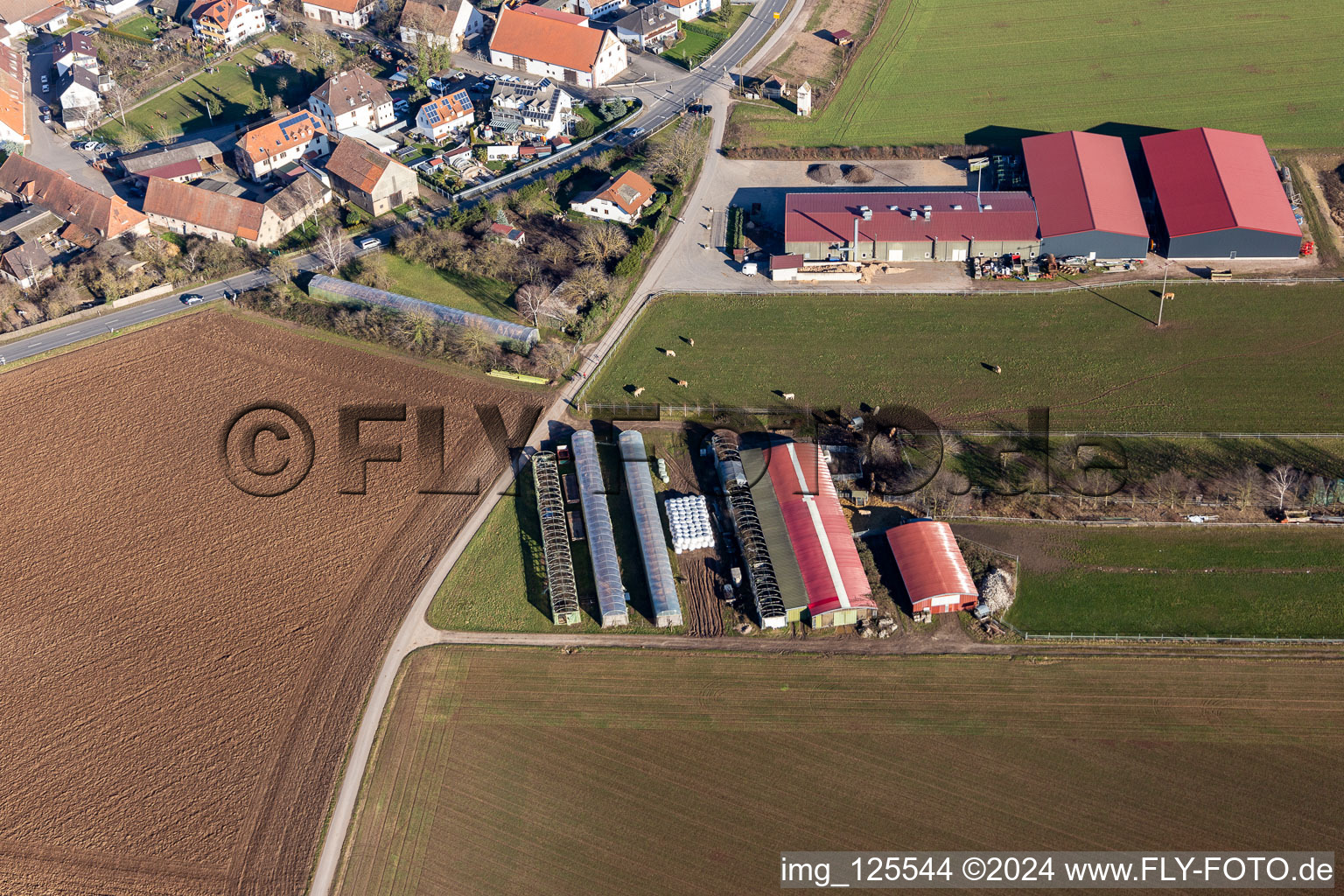 Photographie aérienne de Quartier Bruchhausen in Sandhausen dans le département Bade-Wurtemberg, Allemagne