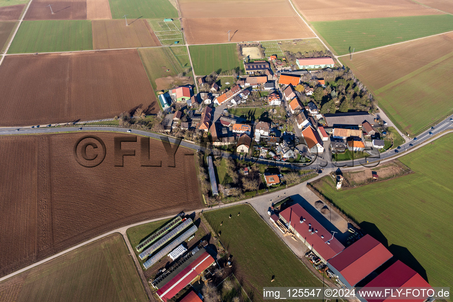 Vue aérienne de Vue sur le village à le quartier Bruchhausen in Sandhausen dans le département Bade-Wurtemberg, Allemagne