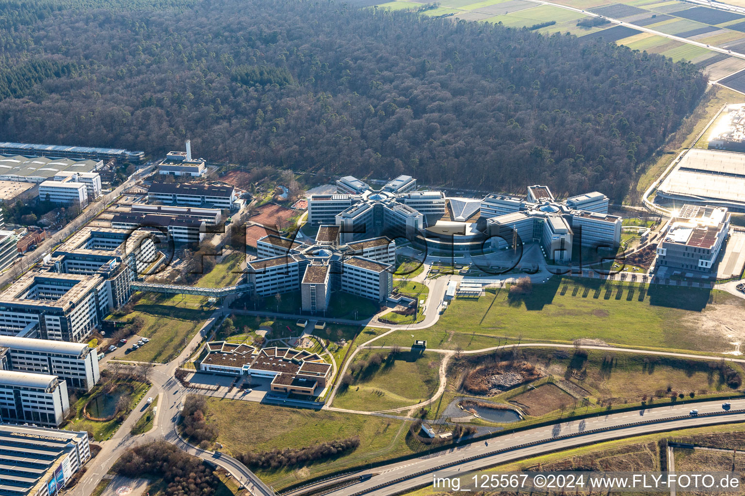 Vue aérienne de Immeubles de bureaux et commerciaux en forme d'étoile de SAP Deutschland SE & Co. KG en lisière de forêt à Walldorf dans le département Bade-Wurtemberg, Allemagne