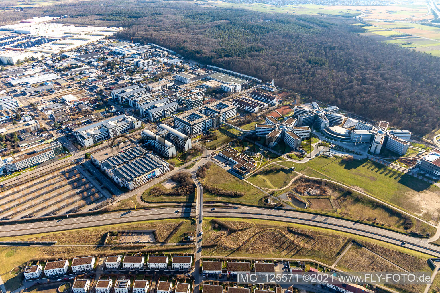 Vue aérienne de Immeubles de bureaux et commerciaux en forme d'étoile de SAP Deutschland SE & Co. KG en lisière de forêt à Walldorf dans le département Bade-Wurtemberg, Allemagne