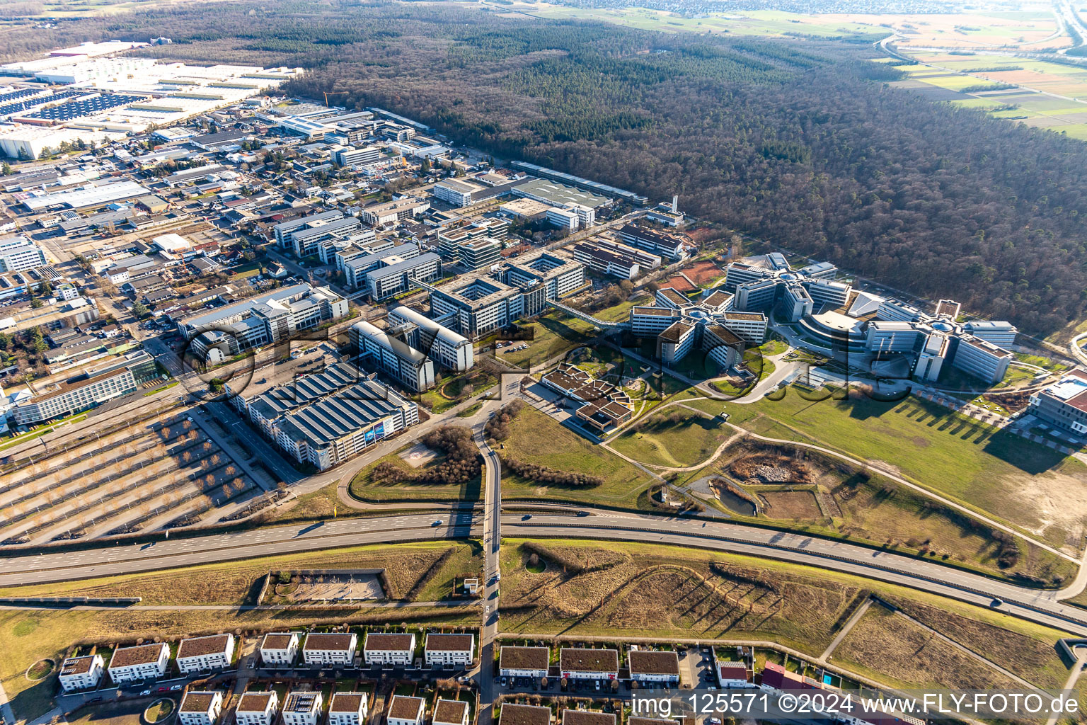 Vue aérienne de Immeubles de bureaux et commerciaux en forme d'étoile de SAP Deutschland SE & Co. KG en lisière de forêt à Walldorf dans le département Bade-Wurtemberg, Allemagne