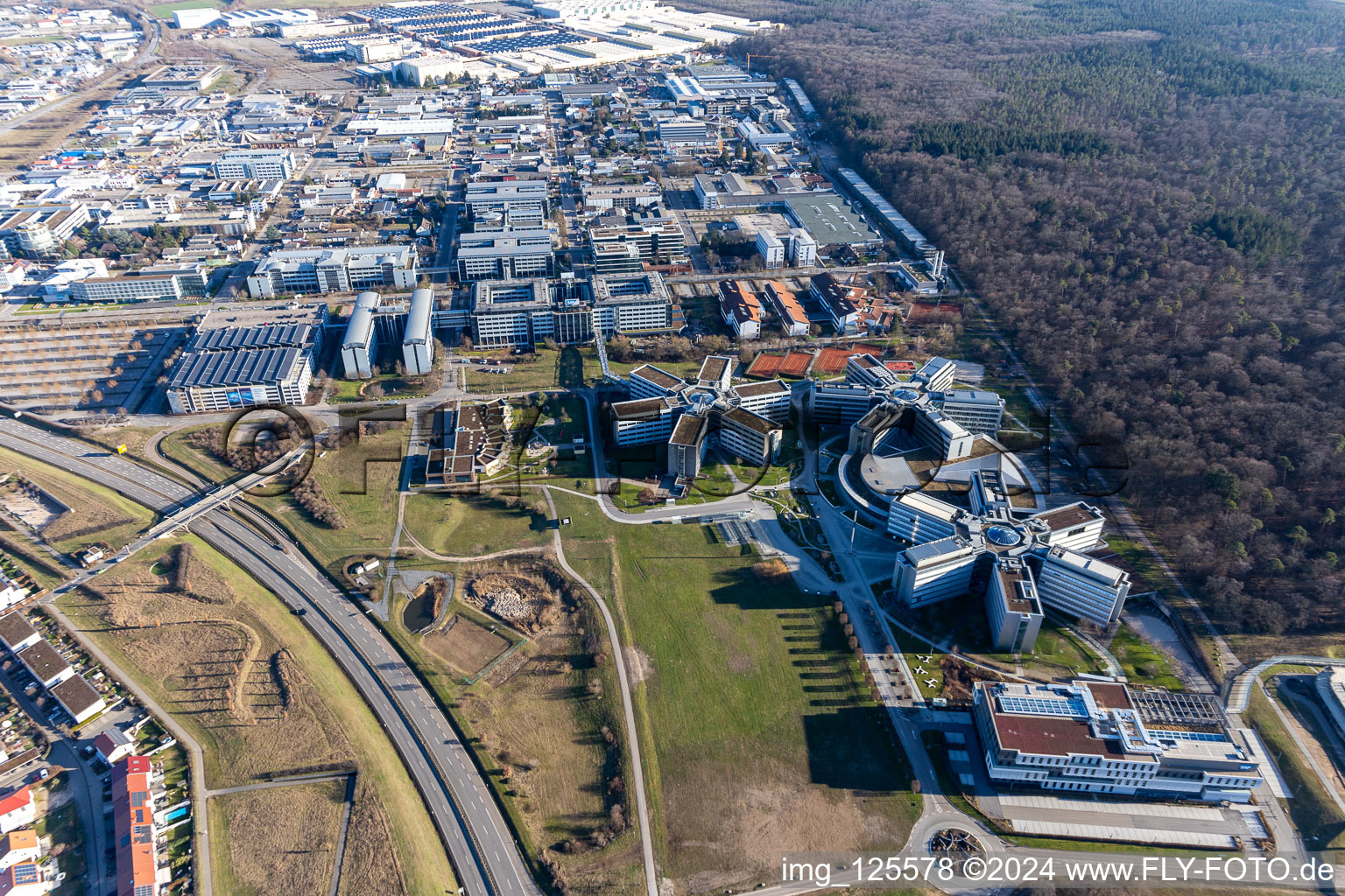 Immeubles de bureaux et commerciaux en forme d'étoile de SAP Deutschland SE & Co. KG en lisière de forêt à Walldorf dans le département Bade-Wurtemberg, Allemagne hors des airs