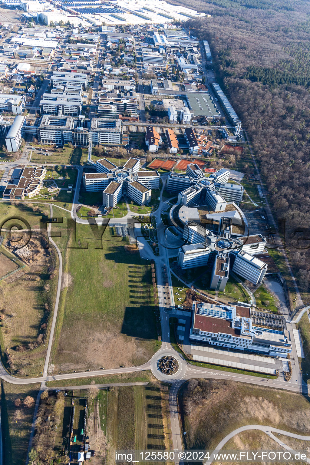 Immeubles de bureaux et commerciaux en forme d'étoile de SAP Deutschland SE & Co. KG en lisière de forêt à Walldorf dans le département Bade-Wurtemberg, Allemagne vue d'en haut