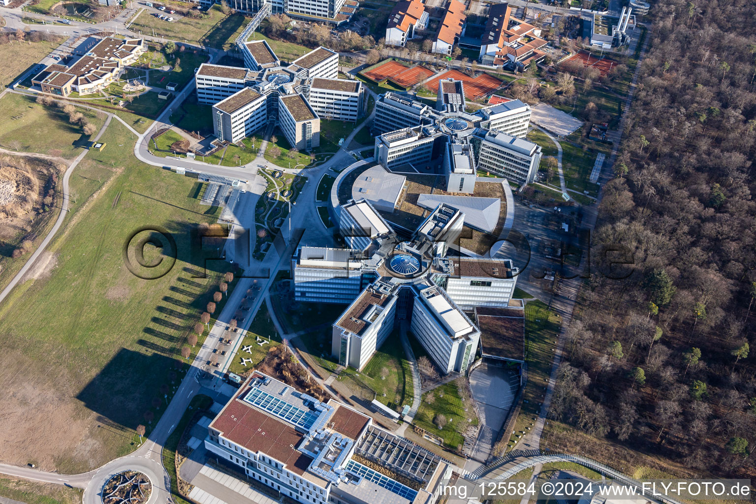 Vue d'oiseau de Immeubles de bureaux et commerciaux en forme d'étoile de SAP Deutschland SE & Co. KG en lisière de forêt à Walldorf dans le département Bade-Wurtemberg, Allemagne