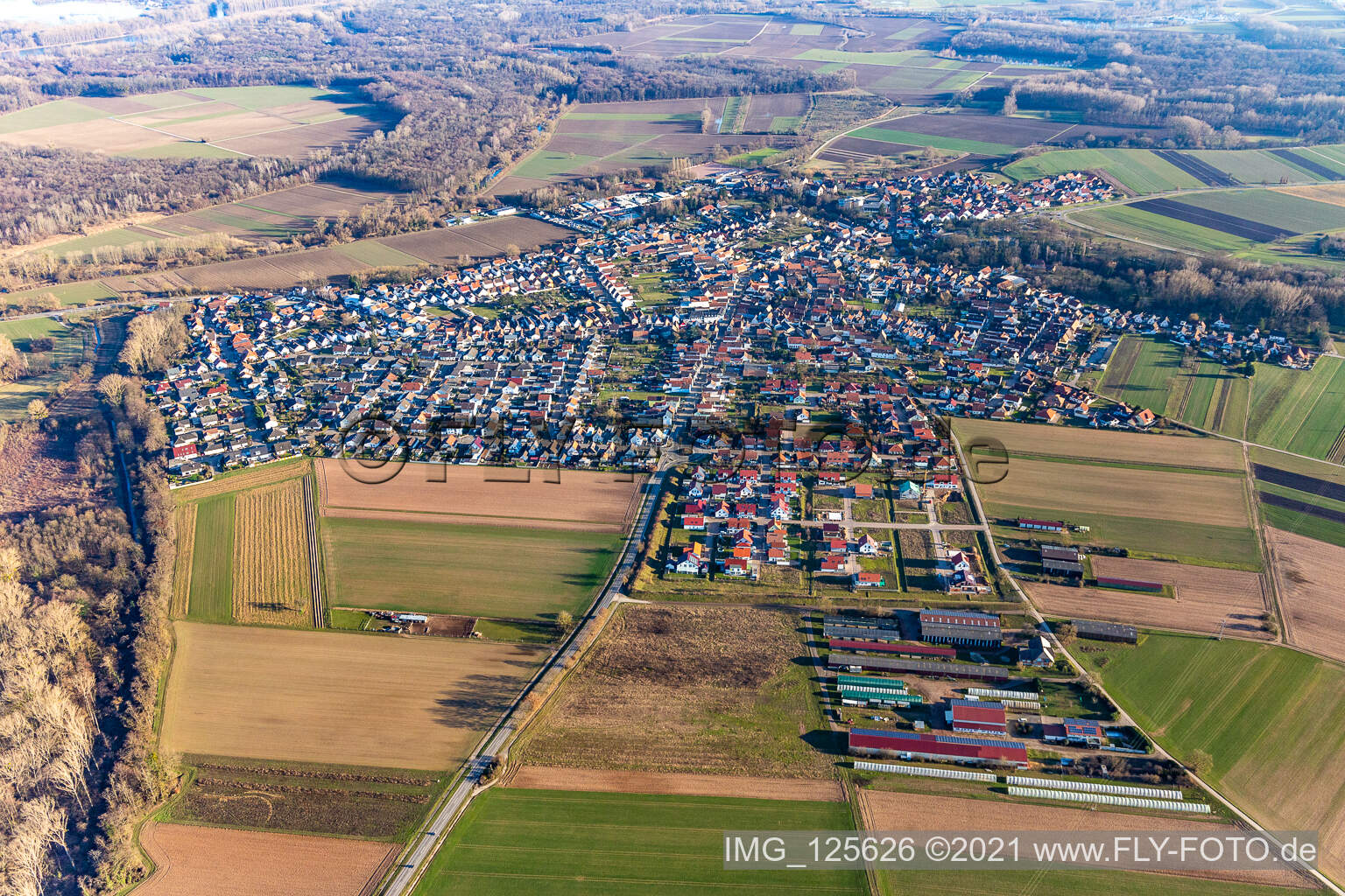Vue aérienne de Vue sur la commune en bordure de champs agricoles et de zones agricoles à Hördt dans le département Rhénanie-Palatinat, Allemagne