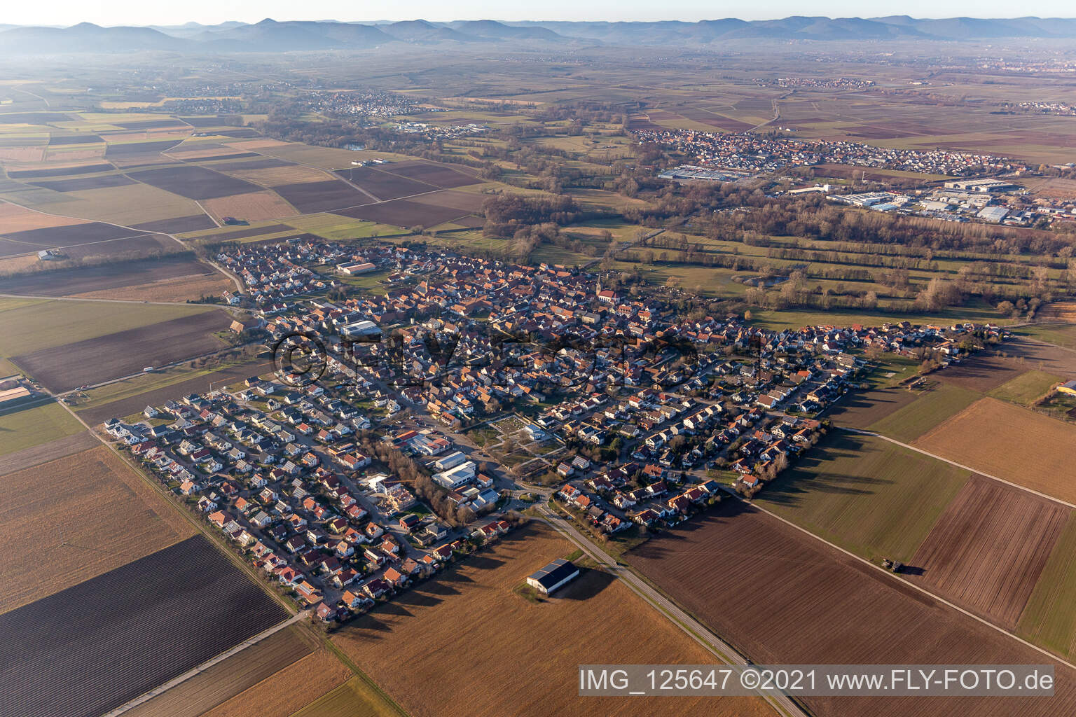 Image drone de Steinweiler dans le département Rhénanie-Palatinat, Allemagne