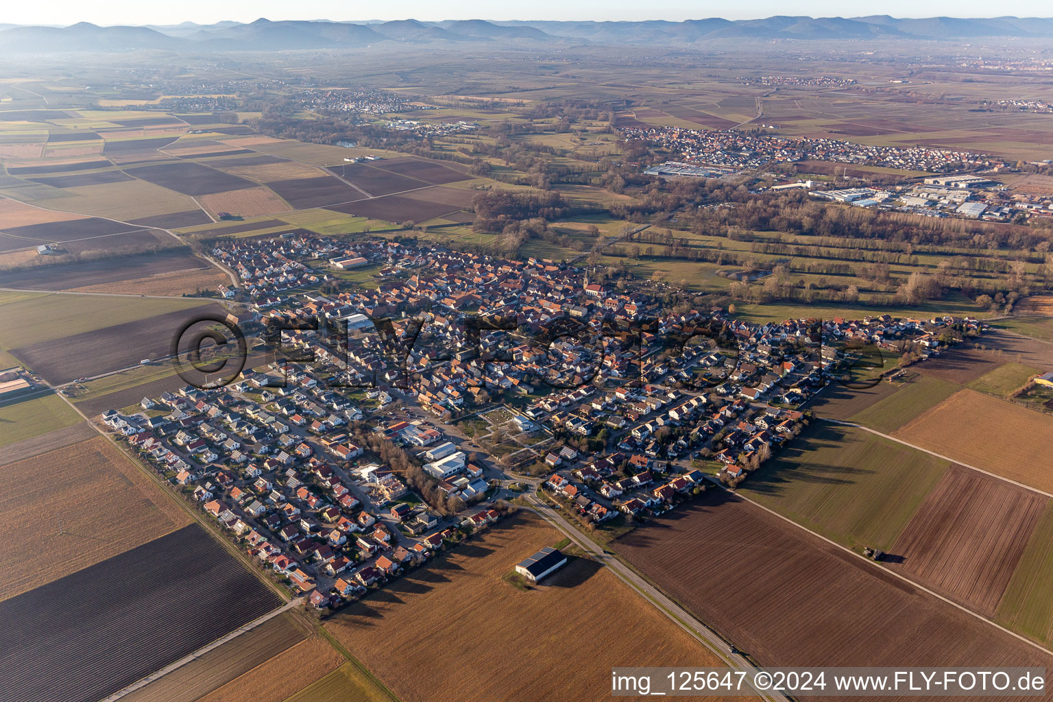 Image drone de Steinweiler dans le département Rhénanie-Palatinat, Allemagne