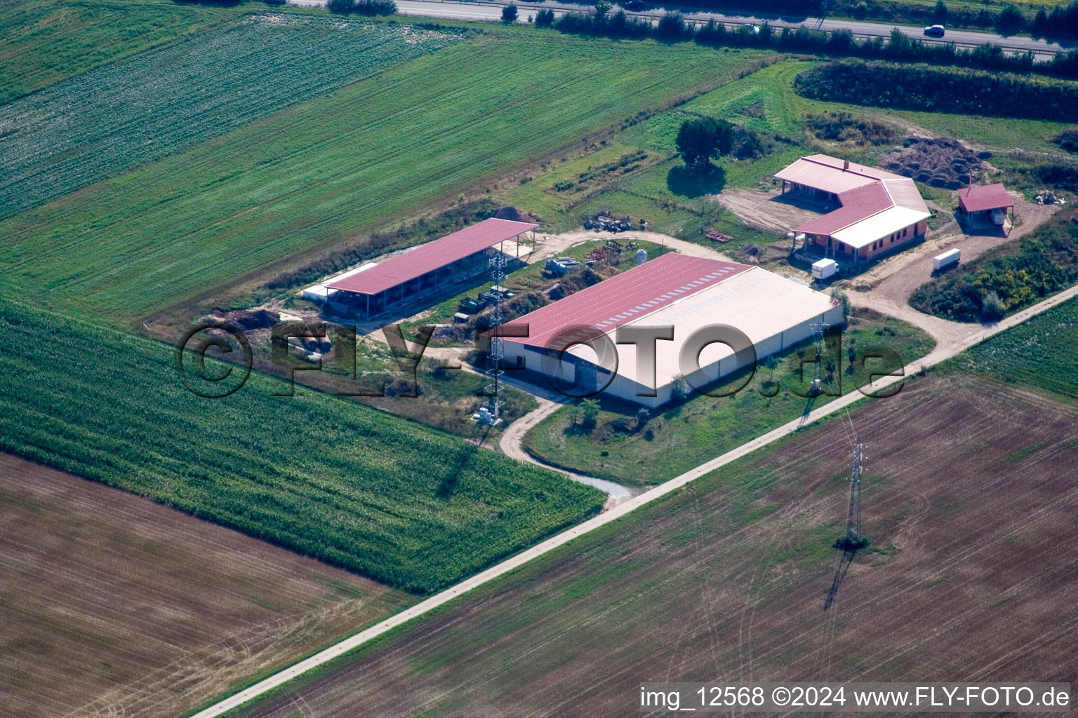 Photographie aérienne de Ferme d'œufs de ferme de poulets à Erlenbach bei Kandel dans le département Rhénanie-Palatinat, Allemagne