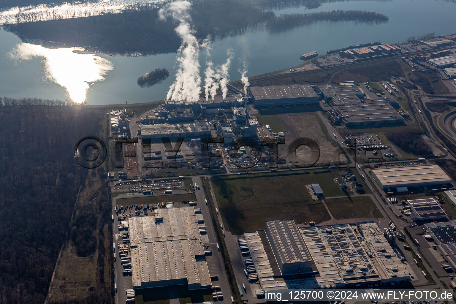 Usine de papier de palme dans la zone industrielle d'Oberwald à Wörth am Rhein dans le département Rhénanie-Palatinat, Allemagne hors des airs