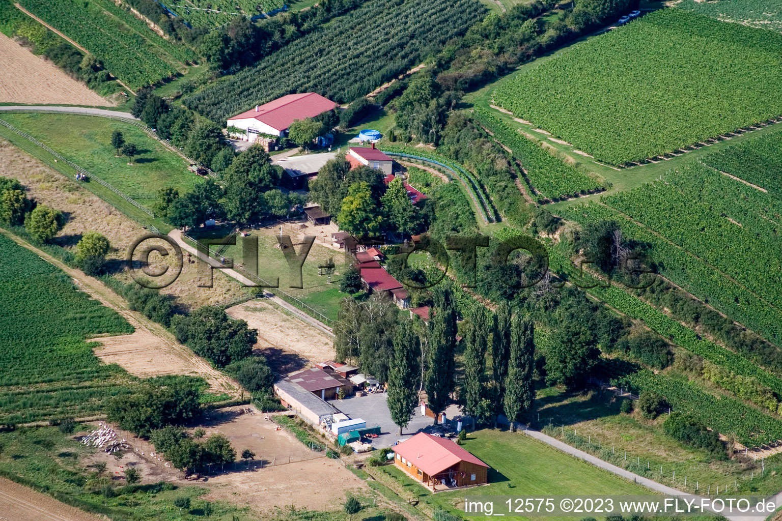 Vue aérienne de Ranch à le quartier Herxheim in Herxheim bei Landau dans le département Rhénanie-Palatinat, Allemagne