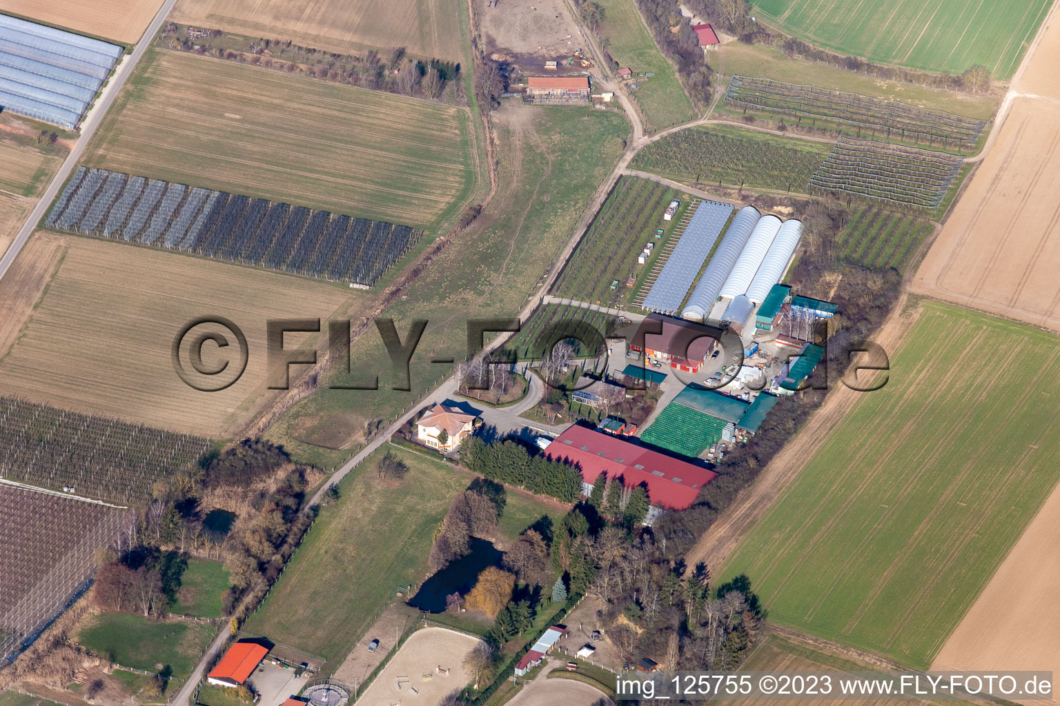 Vue aérienne de Ferme fruitière Zirker à le quartier Herxheim in Herxheim bei Landau dans le département Rhénanie-Palatinat, Allemagne