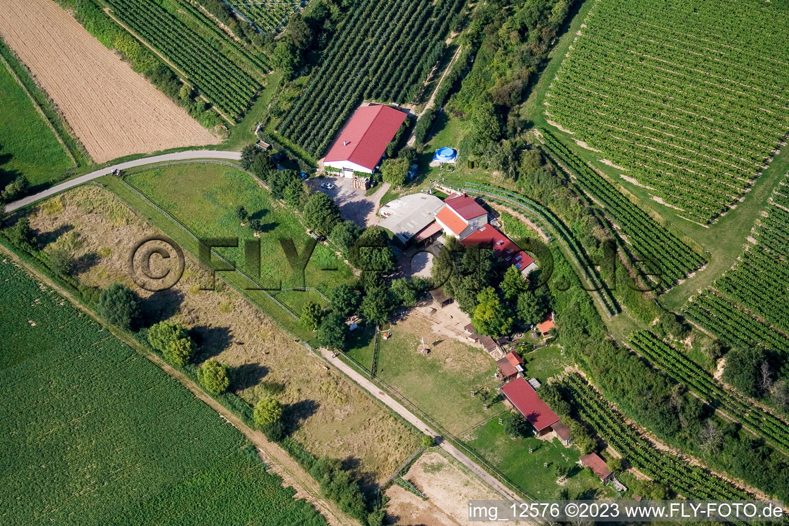 Vue aérienne de Ranch à le quartier Herxheim in Herxheim bei Landau dans le département Rhénanie-Palatinat, Allemagne